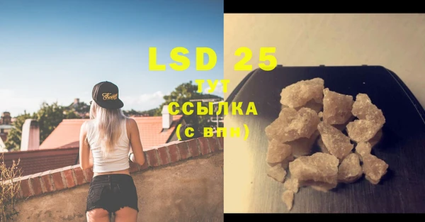 PSILOCYBIN Алексин